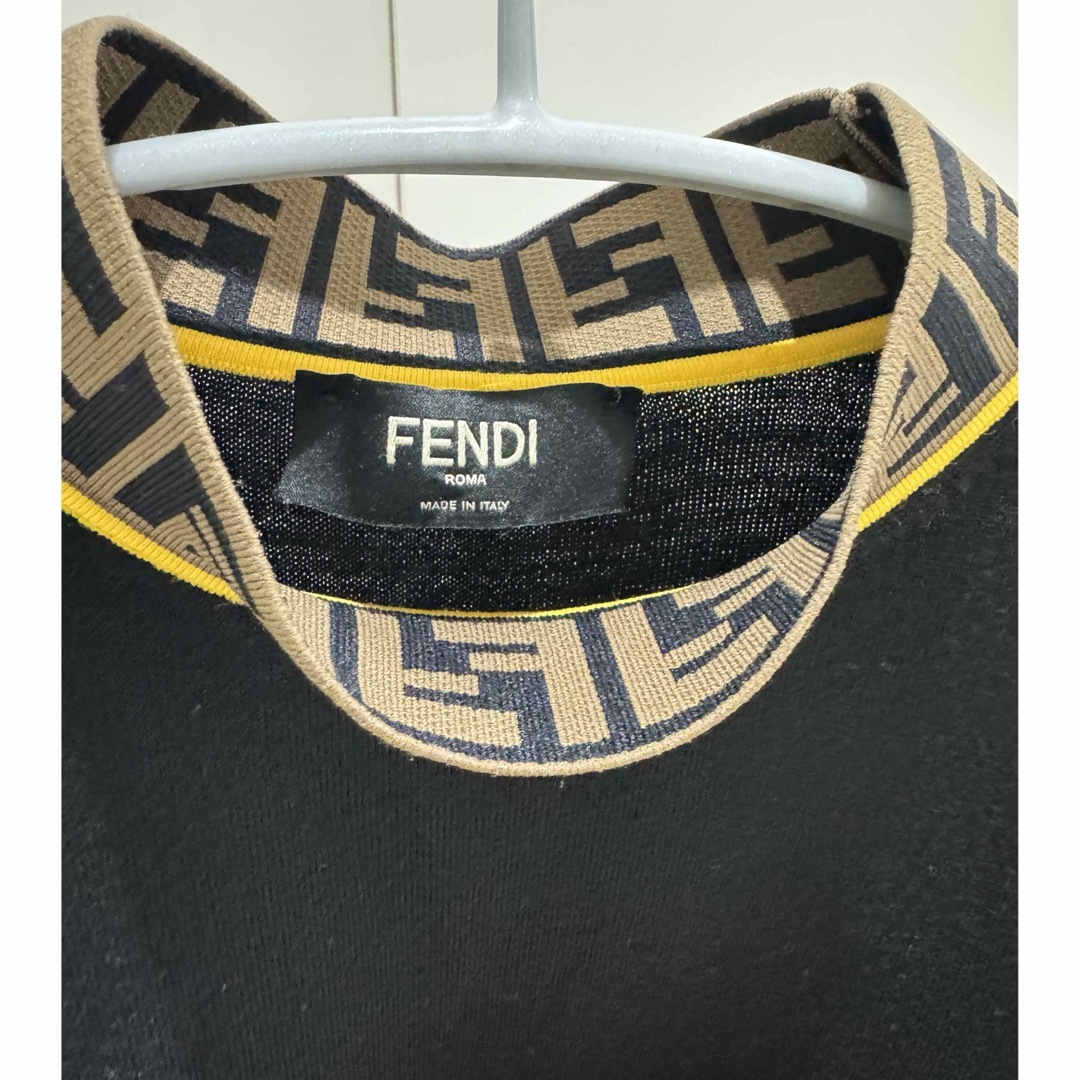 FENDI(フェンディ)のFENDIメンズセーター メンズのトップス(ニット/セーター)の商品写真
