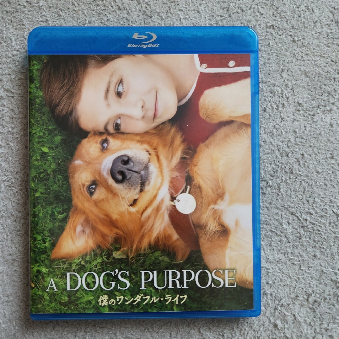 僕のワンダフル・ライフ　映画　Blu-ray エンタメ/ホビーのDVD/ブルーレイ(外国映画)の商品写真