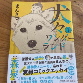 犬々ワンダーランド