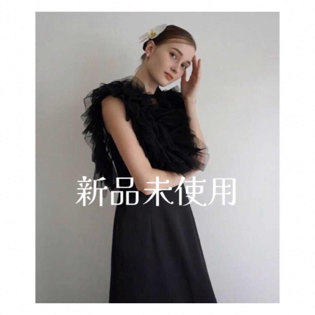 Acka.  tulle vest satin one-piece（black） レディースのワンピース(ロングワンピース/マキシワンピース)の商品写真