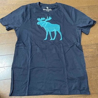 Abercrombie&Fitch - アバクロ　Tシャツ　160