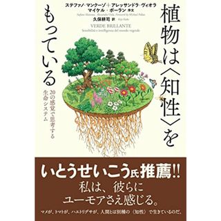 植物は〈知性〉をもっている 20の感覚で思考する生命システム／ステファノ・マンクーゾ、アレッサンドラ・ヴィオラ