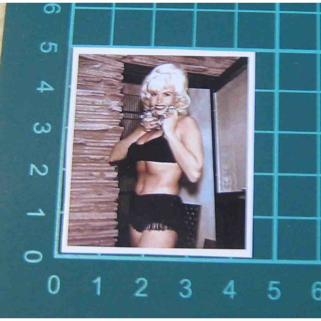 Jayne Mansfield 　ジェーン・マンスフィールド●ステッカー その他のその他(その他)の商品写真