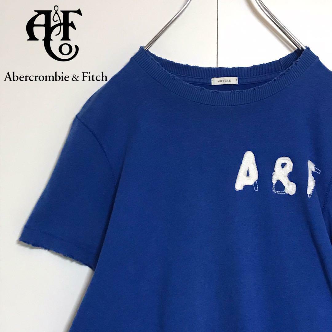 Abercrombie&Fitch(アバクロンビーアンドフィッチ)の【ダメージ加工】アバクロンビー＆フィッチ　ロゴ入りTシャツ　ブルー　H903 メンズのトップス(Tシャツ/カットソー(半袖/袖なし))の商品写真