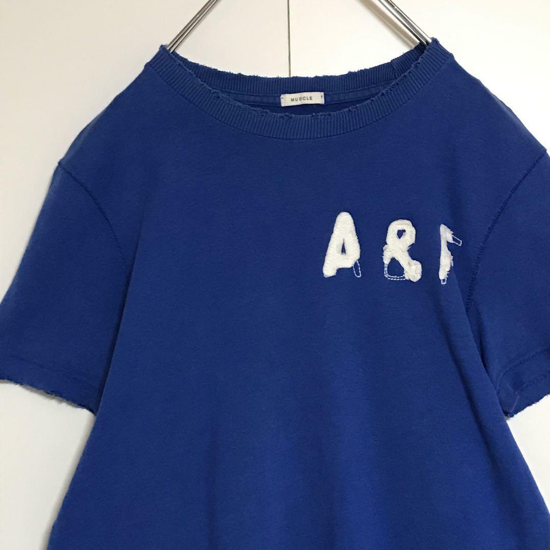 Abercrombie&Fitch(アバクロンビーアンドフィッチ)の【ダメージ加工】アバクロンビー＆フィッチ　ロゴ入りTシャツ　ブルー　H903 メンズのトップス(Tシャツ/カットソー(半袖/袖なし))の商品写真