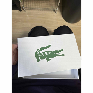 LACOSTE - ラコステ　空箱