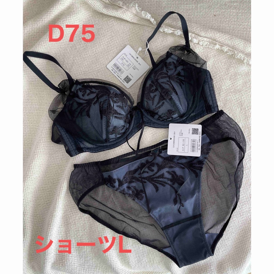 Chut! INTIMATES(シュットインティメイツ)の【Chut!】シアーライトブラ (C412) ショーツセット レディースの下着/アンダーウェア(ブラ&ショーツセット)の商品写真