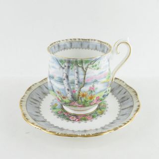 ロイヤルアルバート(ROYAL ALBERT)の美品 ROYAL ALBERT ロイヤルアルバート SILVER BIRCH シルバーバーチ カップ＆ソーサー コーヒー モカ 金彩 風景 英国 希少 SU6276G (グラス/カップ)