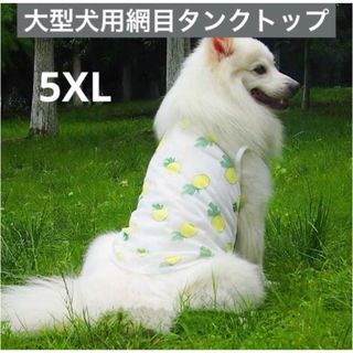 【ペット用】大型犬用　犬服　夏用　極薄網目　可愛い　タンクトップ　5XL(犬)