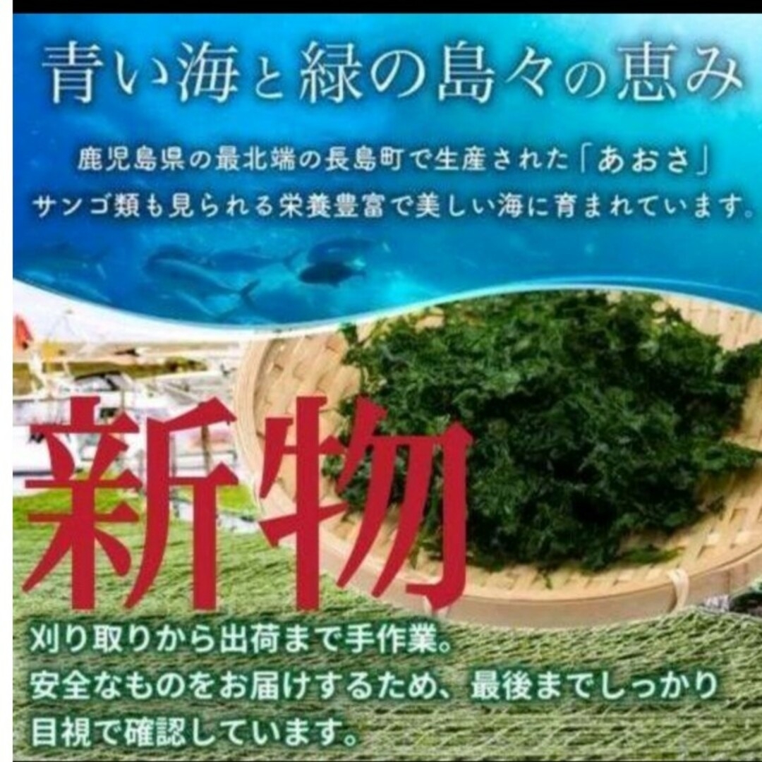 mmm様専用 4月22日収穫終了 鹿児島県長島町産あおさ あおさのり 食品/飲料/酒の食品(野菜)の商品写真