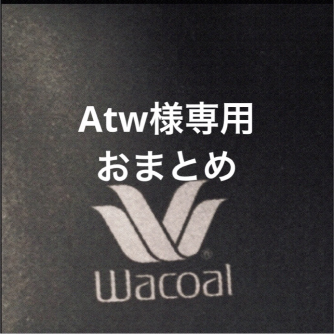 Wacoal(ワコール)の【新品タグ付】ワコール・パルファージュ38g・SP・G70M（定価14,850） レディースの下着/アンダーウェア(ブラ&ショーツセット)の商品写真