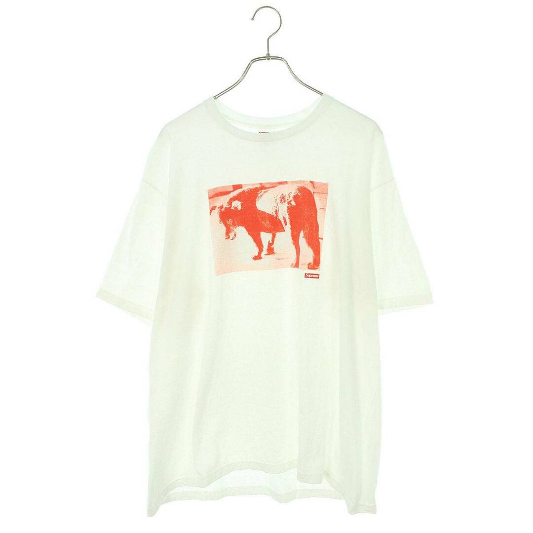 Supreme(シュプリーム)のシュプリーム  Daido Moriyama Tights Tee 森山大道 フォトプリントTシャツ メンズ XL メンズのトップス(Tシャツ/カットソー(半袖/袖なし))の商品写真