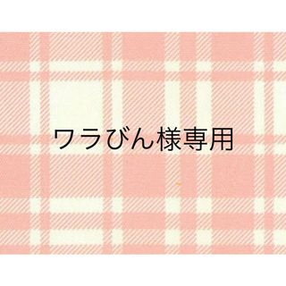 【ワラびん様専用】(その他)