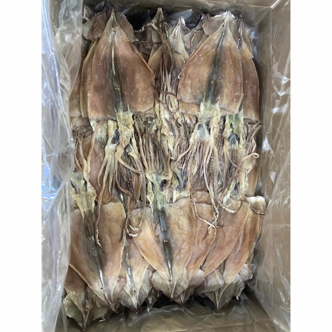 10枚　約350g前後　国内産干しスルメイカ　珍味　おつまみ　ジャーキー　魚介 食品/飲料/酒の加工食品(乾物)の商品写真