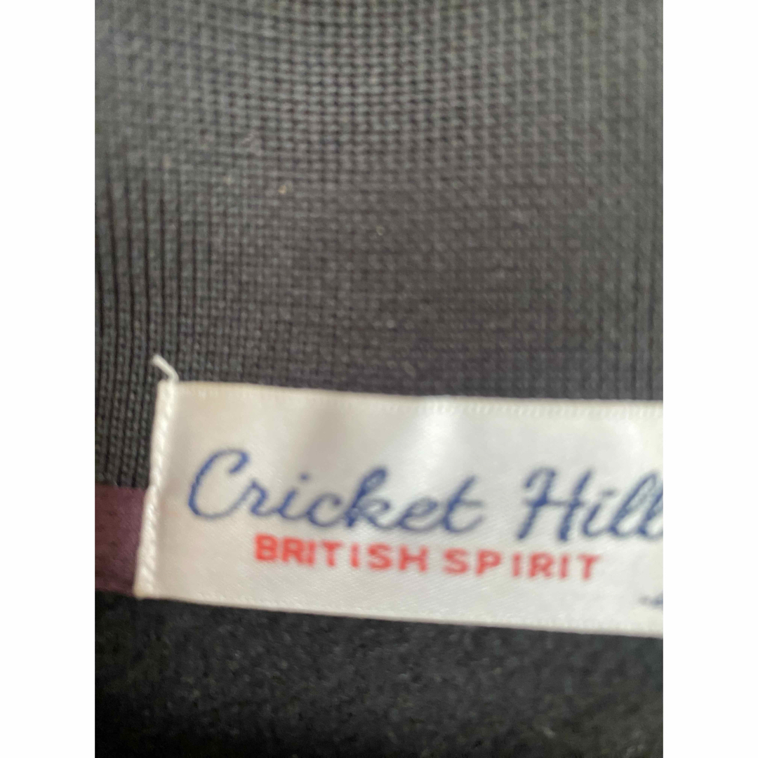 💕送料無料💕メンズ　大きい服　 Cricket Hill 長袖　ポロシャツ　4L メンズのトップス(Tシャツ/カットソー(七分/長袖))の商品写真