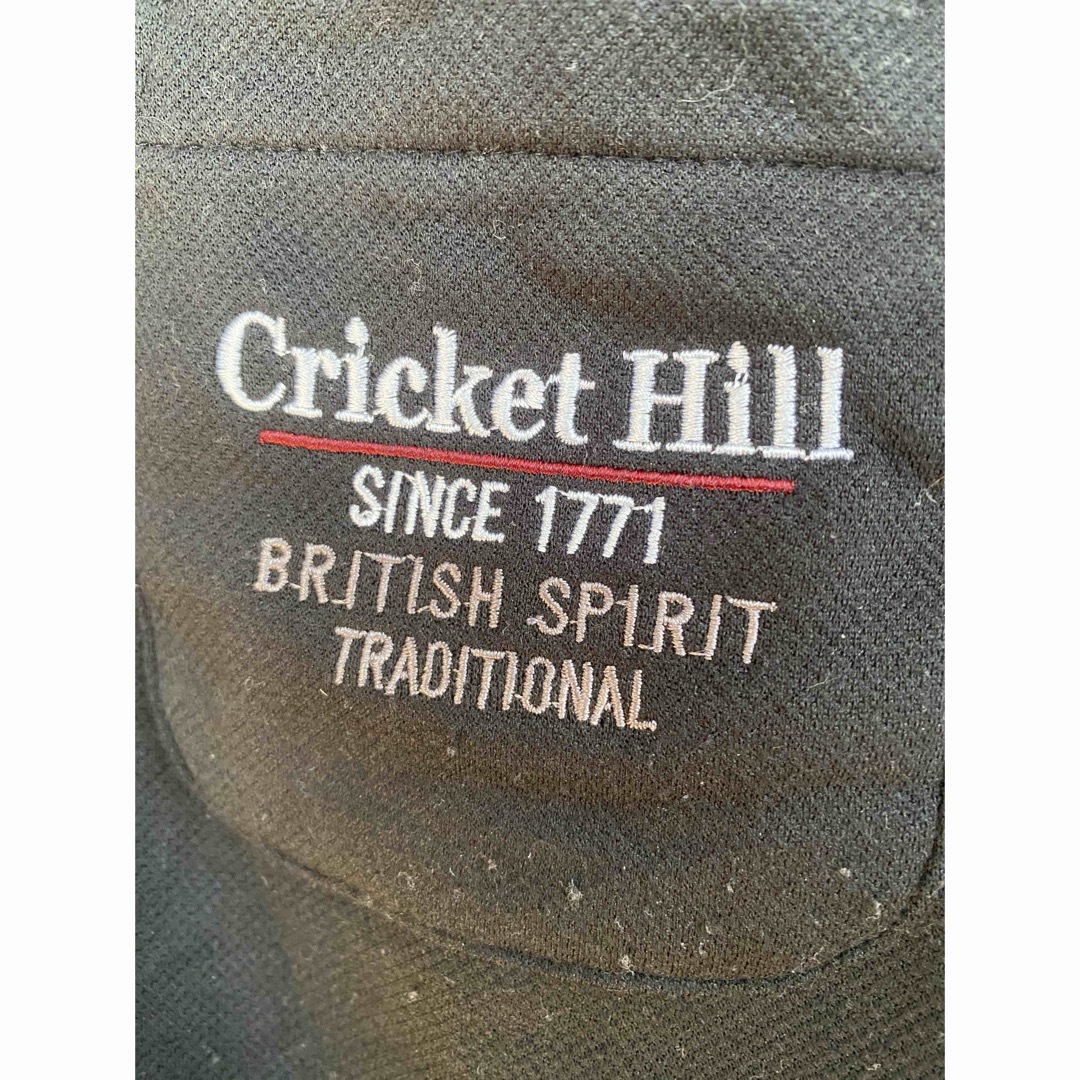 💕送料無料💕メンズ　大きい服　 Cricket Hill 長袖　ポロシャツ　4L メンズのトップス(Tシャツ/カットソー(七分/長袖))の商品写真