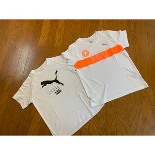 プーマ(PUMA)のPUMA☆Tシャツ2枚　150サイズ(Tシャツ/カットソー)