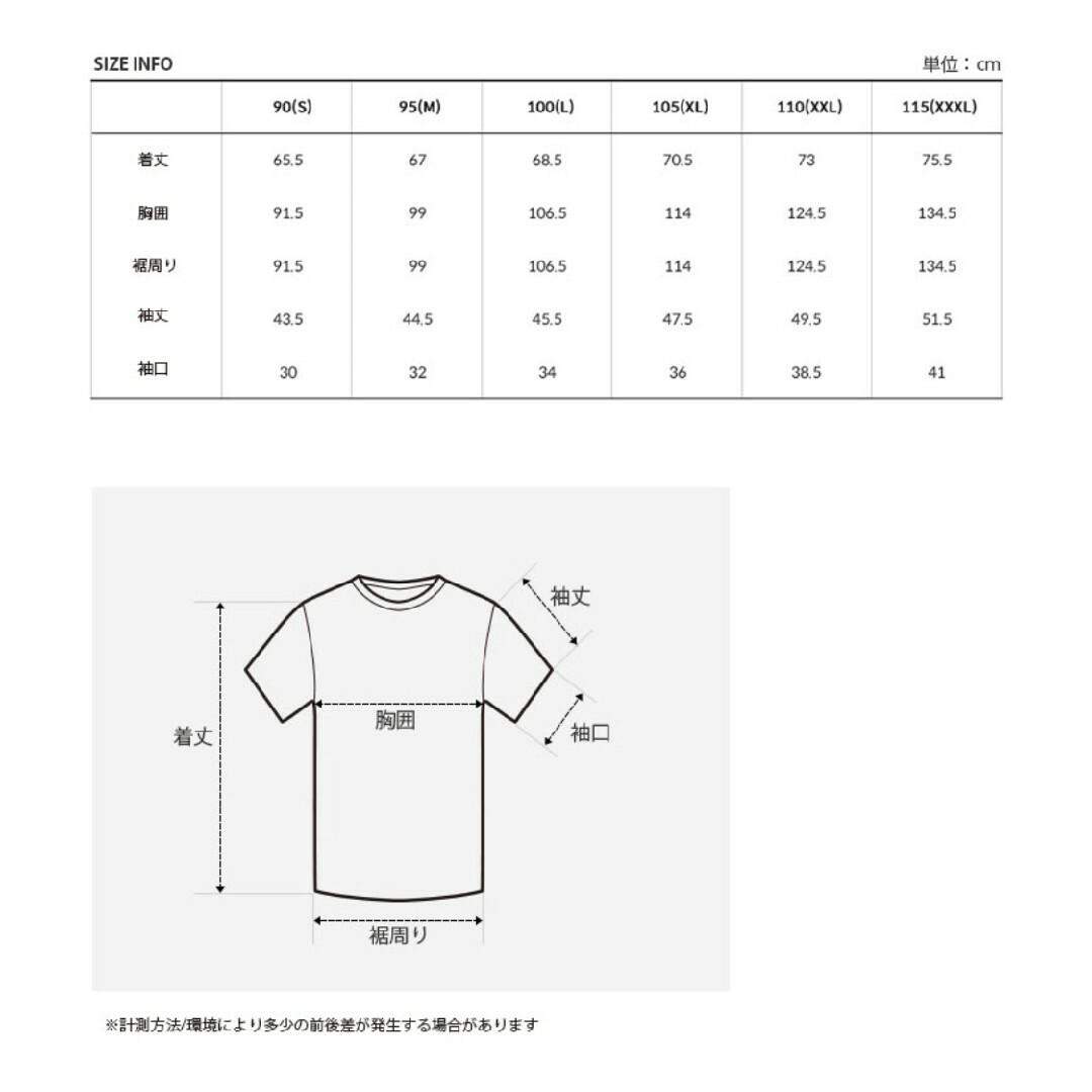 THE NORTH FACE(ザノースフェイス)のTHE NORTH FACE ノースフェイス 新品 Tシャツ 半袖 トップスXL メンズのトップス(Tシャツ/カットソー(半袖/袖なし))の商品写真