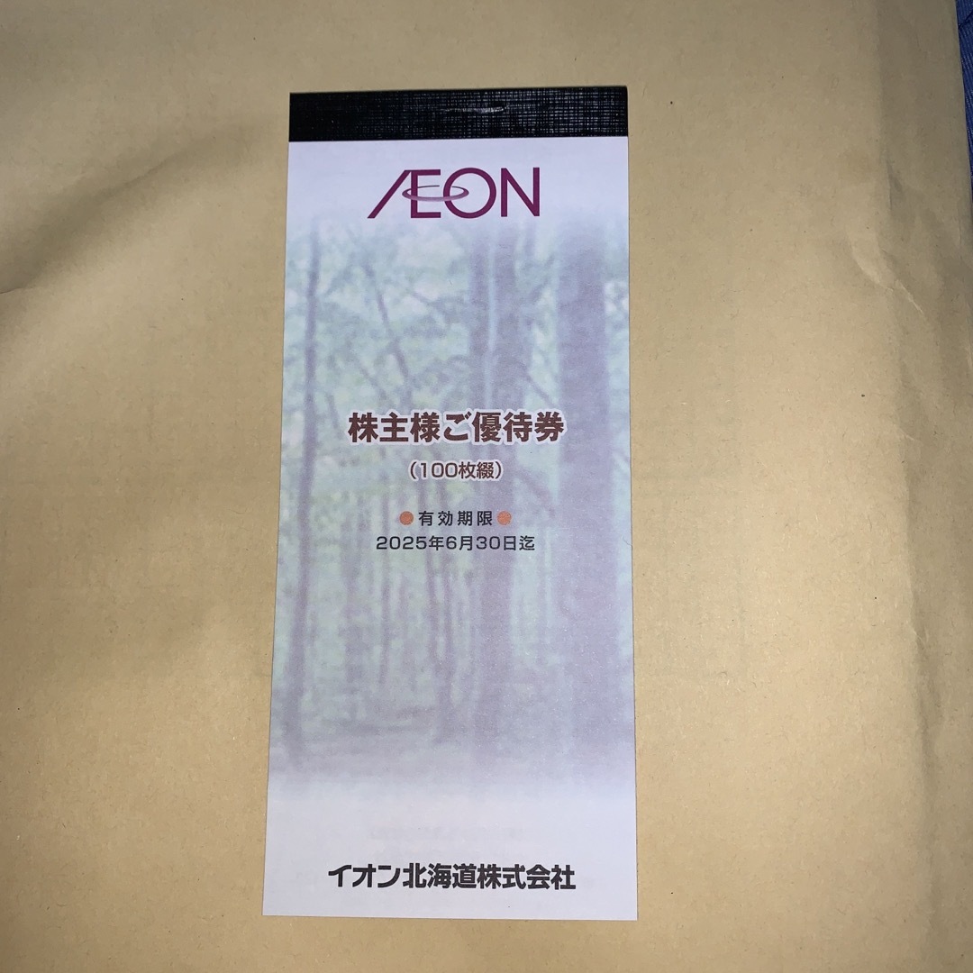 イオン北海道 株主優待 10000円分 チケットの優待券/割引券(ショッピング)の商品写真