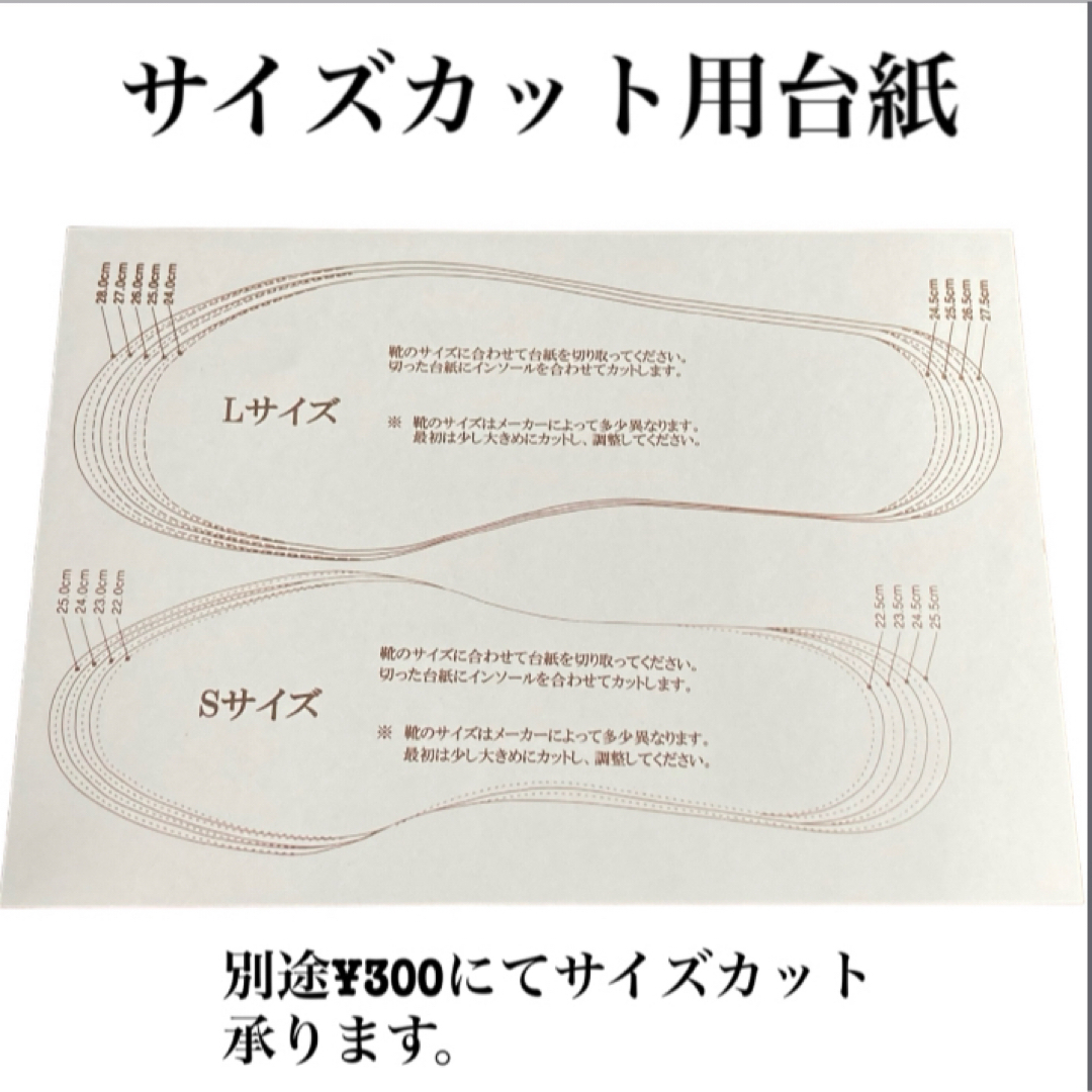 【悪臭解消】　使い捨てインソール 中敷き 10足セット　Lサイズ コスメ/美容のボディケア(フットケア)の商品写真