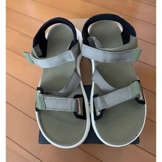 Teva - 新品未使用teva zymic アロエ25センチ