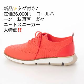 Cole Haan - 新品✨タグ付き♪定価36,000円　コールハーン　お洒落　スニーカー　大特価