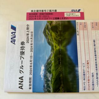 エーエヌエー(ゼンニッポンクウユ)(ANA(全日本空輸))のANA優待券　全日空　1枚(航空券)