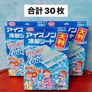 【合計30枚】アイスノン 冷却シート 大判サイズ 6時間冷却 リフレッシュ