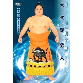 大栄翔 関脇 レギュラーカード BBM 2024 大相撲カード 響(シングルカード)