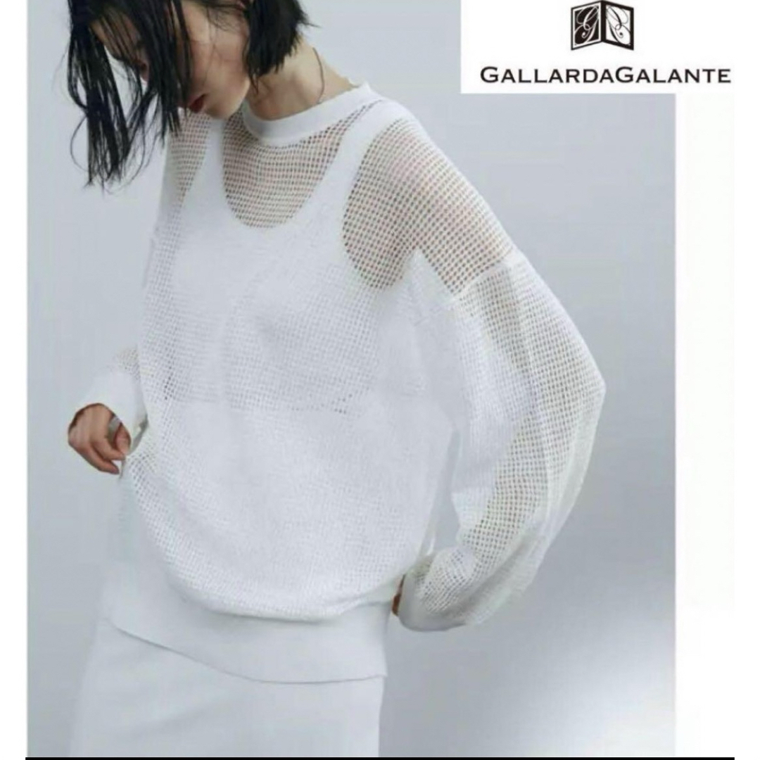 GALLARDA GALANTE(ガリャルダガランテ)のギャラルダガランテGALLARDAGALANTE シアー　シースルーニット　黄色 レディースのトップス(ニット/セーター)の商品写真