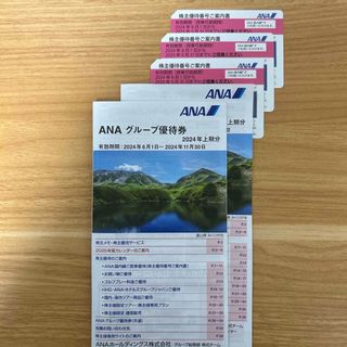 エーエヌエー(ゼンニッポンクウユ)(ANA(全日本空輸))の全日空ANA　優待券2冊番号案内書3枚　セット(航空券)