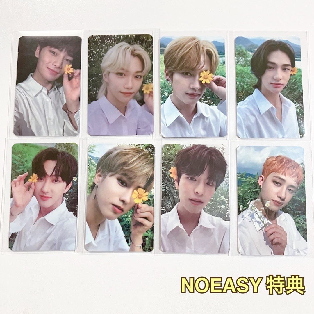 stray kids スキズ NOEASY アルバム 特典 エンタメ/ホビーのタレントグッズ(アイドルグッズ)の商品写真