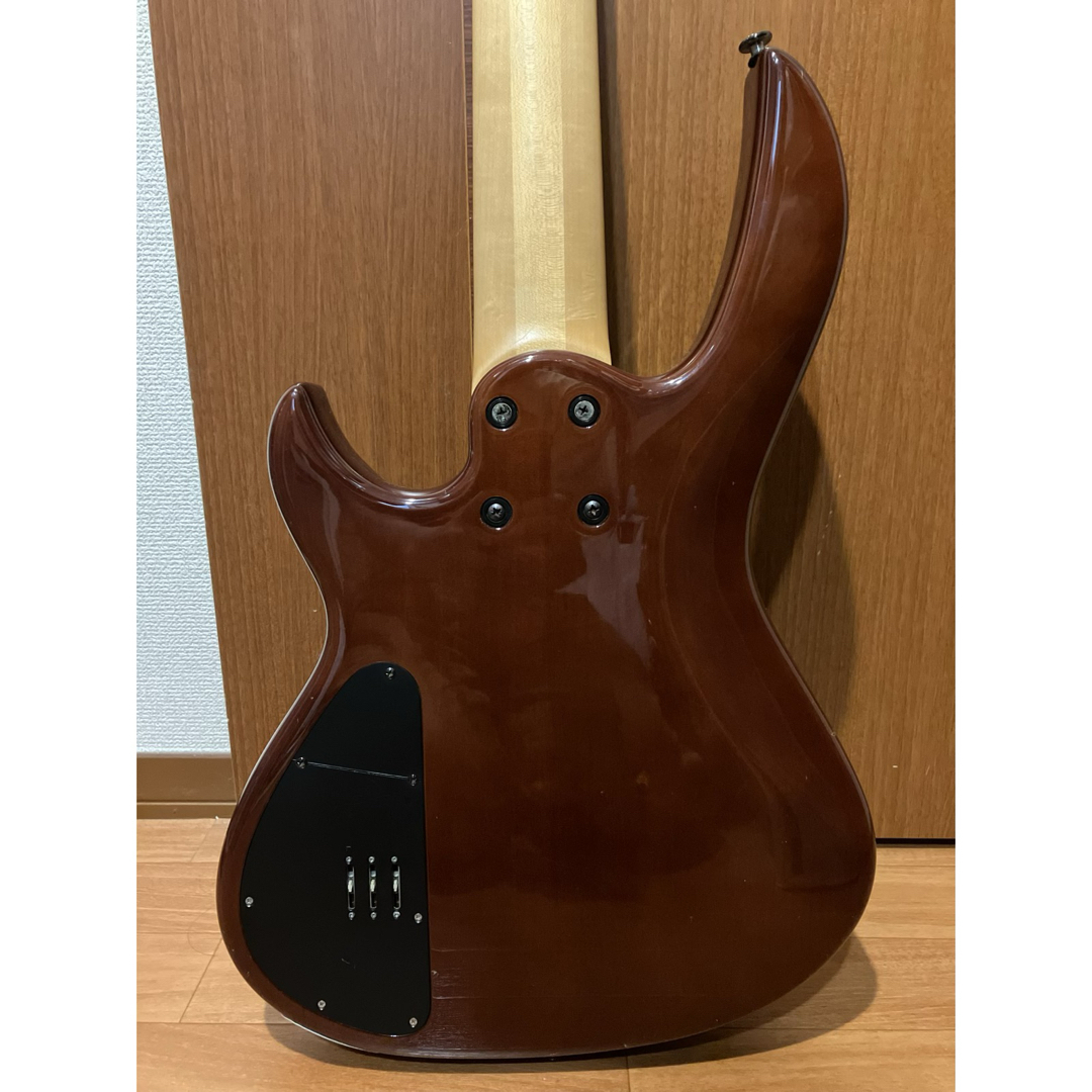 PROiX Geki-NARI 5 フレットレス TSC 5弦 597,000円 PROiX Geki-NARI 5 フレットレス TSC 5弦 597,000円