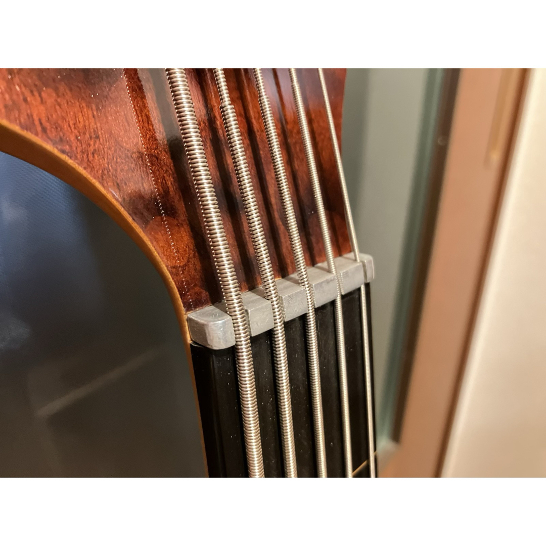 PROiX Geki-NARI 5 フレットレス TSC 5弦 597,000円 楽器のベース(エレキベース)の商品写真