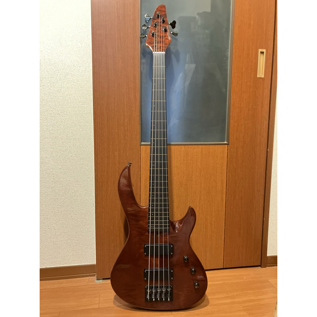 PROiX Geki-NARI 5 フレットレス TSC 5弦 597,000円 楽器のベース(エレキベース)の商品写真