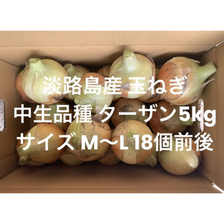 兵庫県 淡路島産 玉ねぎ M～L 無選別 5kg 中生品種 ターザン 18個前後(野菜)