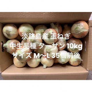 兵庫県 淡路島産 玉ねぎ M～L無選別 10kg 中生品種 ターザン 35個前後(野菜)