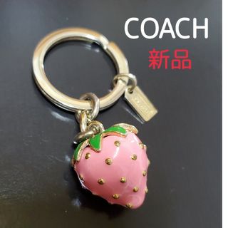 コーチ(COACH)の新品 COACH コーチ 立体的 イチゴ キーホルダー バッグチャーム(キーホルダー)