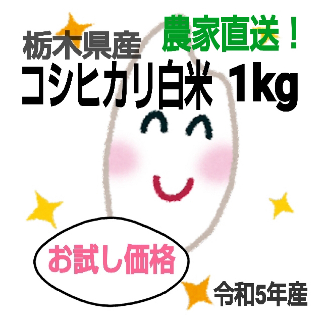 【令和5年 新米 栃木県産コシヒカリ 1kg☆白米 お試し価格】 食品/飲料/酒の食品(米/穀物)の商品写真