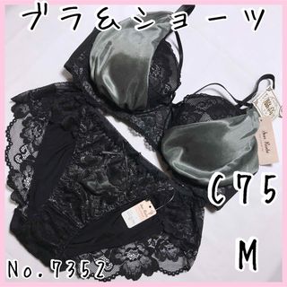 ブラジャーショーツセットC75    No.7352(ブラ&ショーツセット)