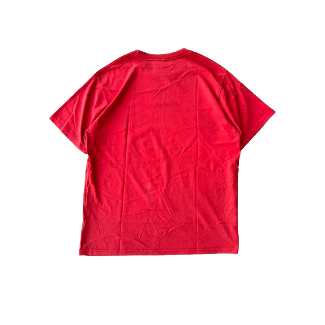 NIKE(ナイキ)の00s NIKE tシャツ XL メンズのトップス(Tシャツ/カットソー(半袖/袖なし))の商品写真