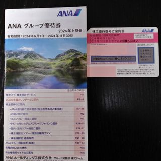 エーエヌエー(ゼンニッポンクウユ)(ANA(全日本空輸))のANA株主優待券(航空券)