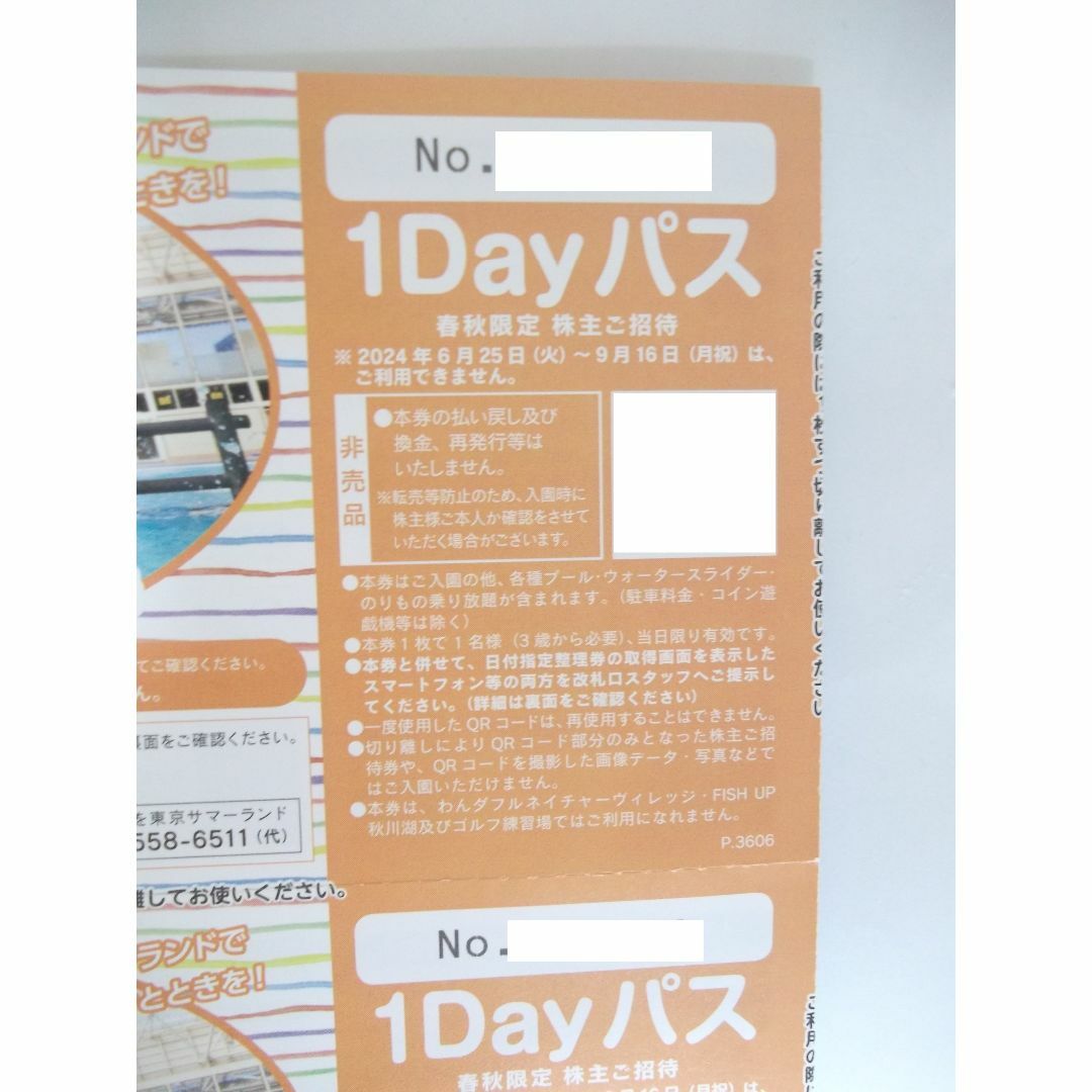 東京サマーランド　株主優待 1Dayパス2枚セット（春秋限定） チケットの優待券/割引券(その他)の商品写真