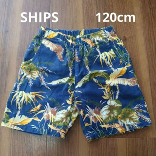 【SHIPS KIDS】オックス トロピカル/ハーフパンツ/120センチ