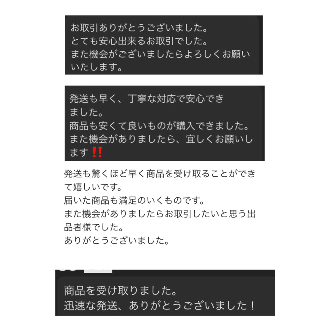 インナーバック　バックインバック　ロンシャン　Lサイズ　自立　整理整頓 レディースのバッグ(ハンドバッグ)の商品写真