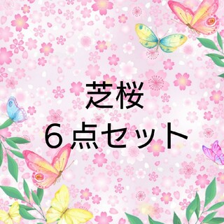 【ネコポス】処分価格 芝桜６ポット苗セット(その他)