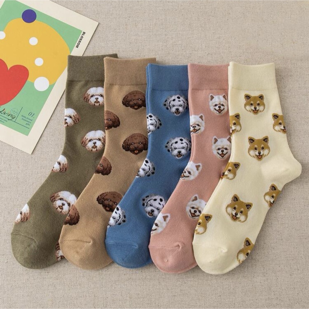 韓国 靴下 犬 ソックス セット まとめ売り 5足セット 夏ソックス レディースのレッグウェア(ソックス)の商品写真