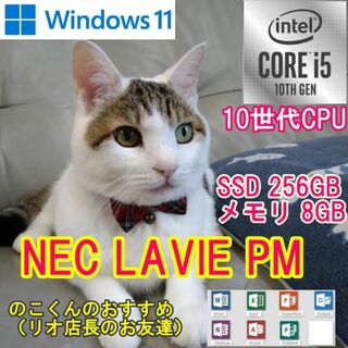 エヌイーシー(NEC)の軽量級　LAVIE Direct PM　Windows11(ノートPC)