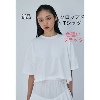 ENFOLD - 新作　新品　エンフォルド　WIDE CROPPED T-SHIRT ブラック