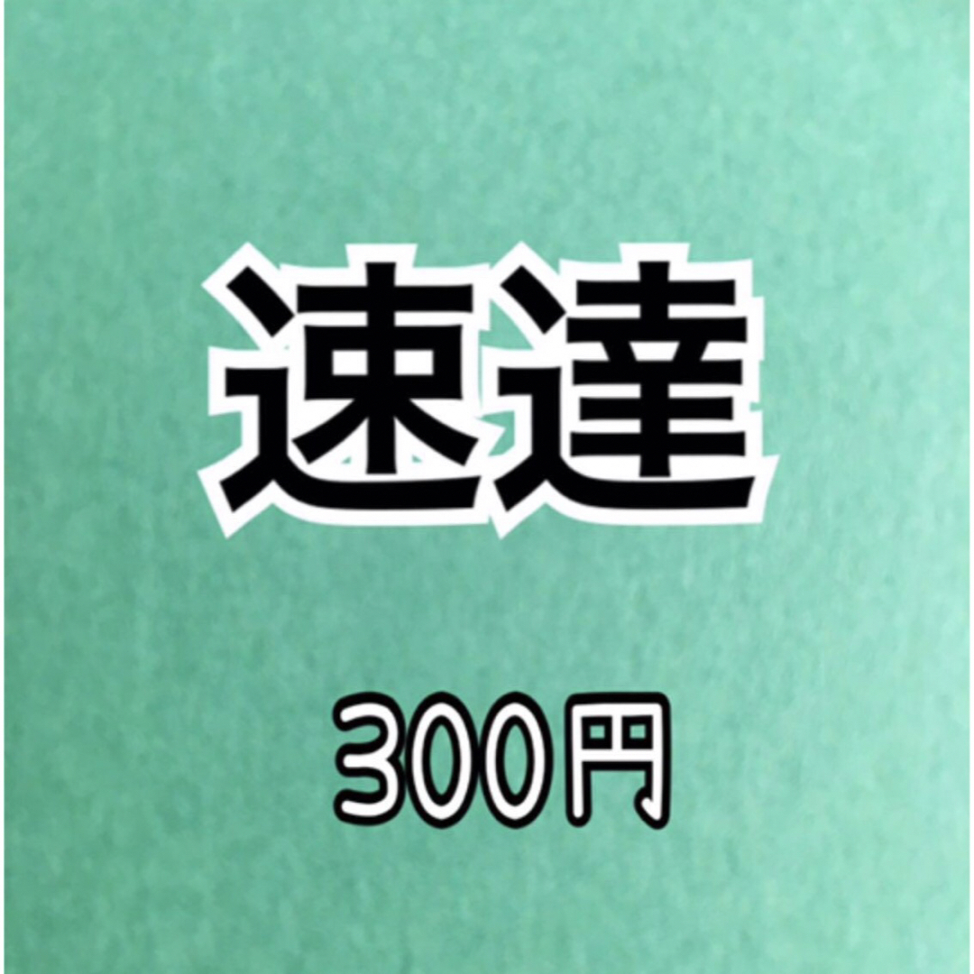 お急ぎの方専用 その他のその他(その他)の商品写真